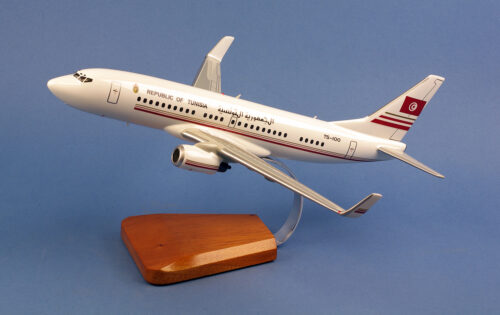 Boeing 737-7H3/BBJ Republic of Tunisia