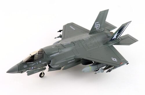 F-35B Lightning VMFA-533 "Hawks" 2025 (beast mode)
